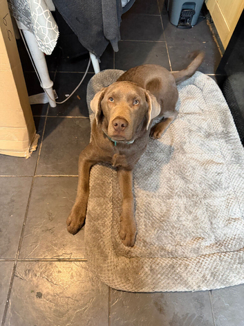 Rehome