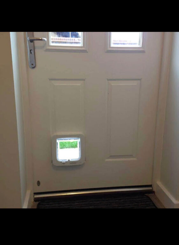 Cat Flap Fitting