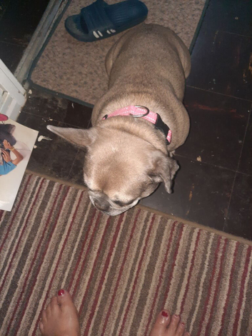 She is lovely
