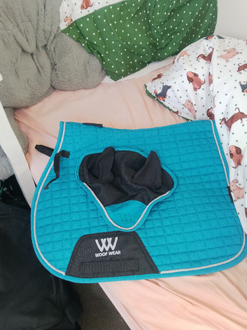 Woof wear saddlepad and ears