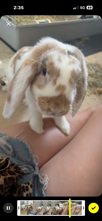george
