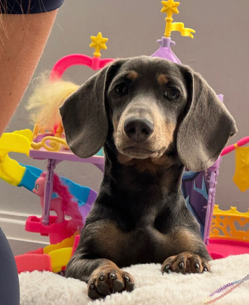 Ronnie 18months old