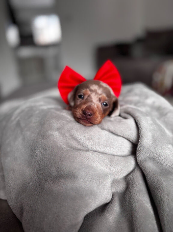 1 Beautiful Girl
