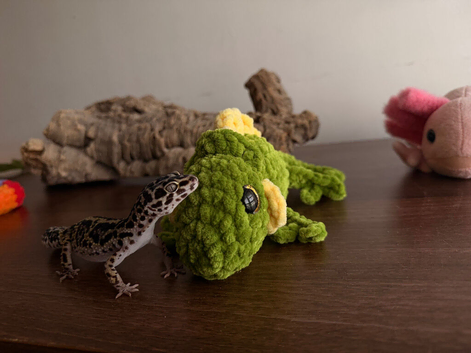 beautiful leopard gecko