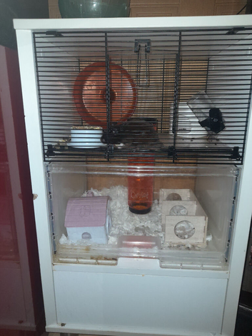 With cage