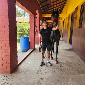Stable Hand