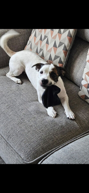 3 year old girl