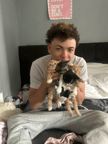 2 ginger 2 mixed colours and one black and white kitten