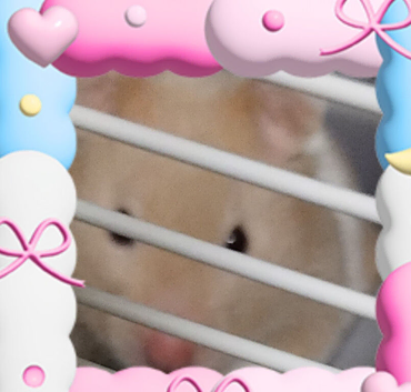 Hamster