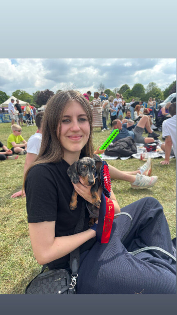 Beautiful dapple miniature Dashund