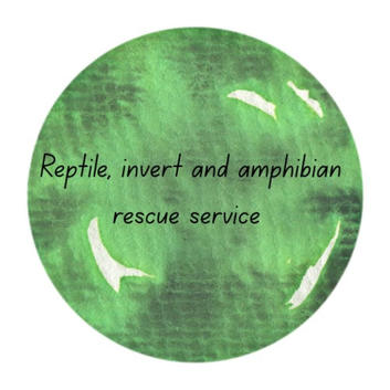 Reptile, invert and amphibian rescue service