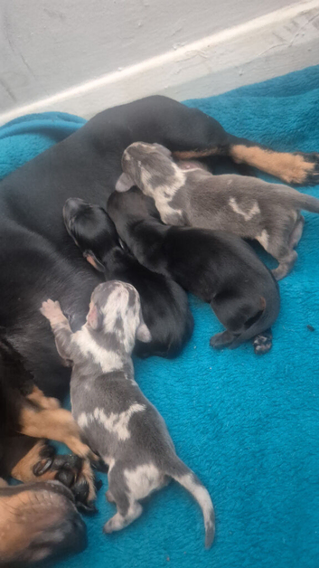 3 boys and 4 girls