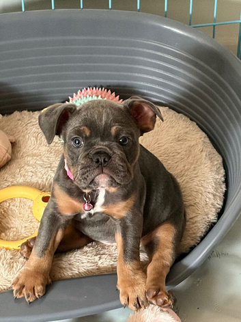 Beautiful girl