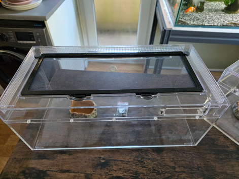 Terrarium x 2 for sale