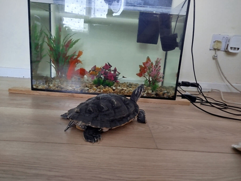Selling aquarium