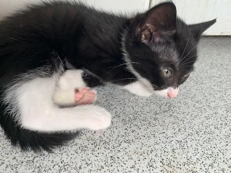 Black and white boy and girl