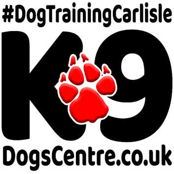 K9 Dogs Centre