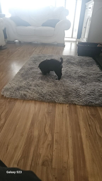 For sale