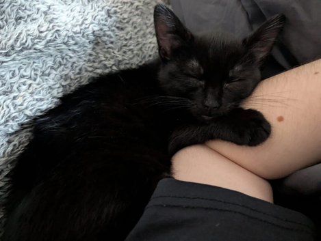 Rehome