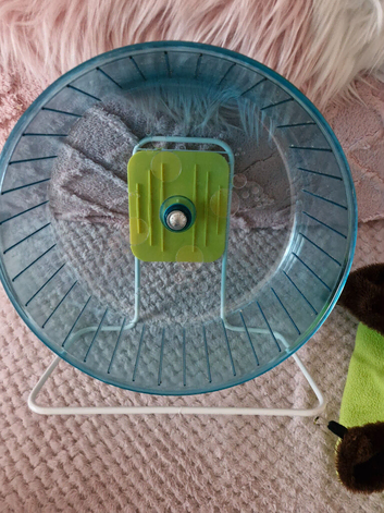 Rat/gerbil wheel