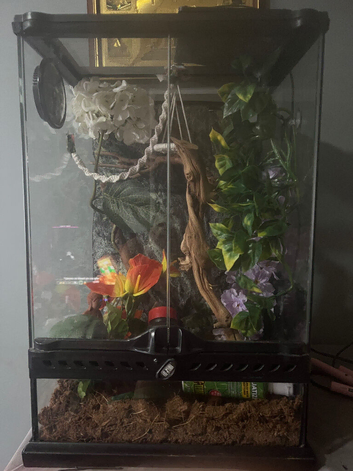 Vivarium