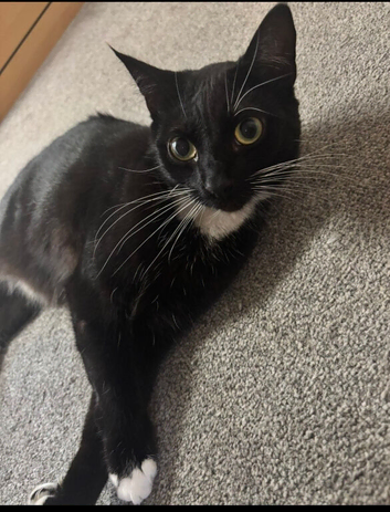 Luna