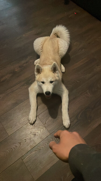 5 month old boy