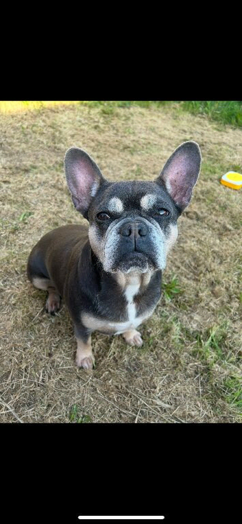 Coco