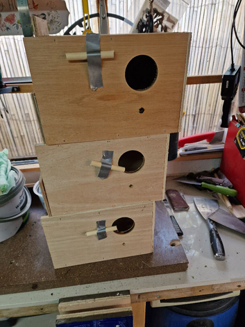 Budgie nest boxes
