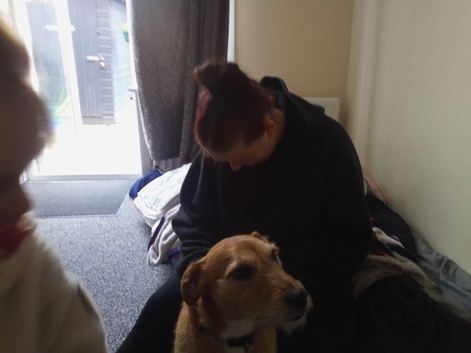 My dad's dog needs a new home