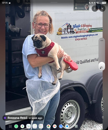 Dog grooming