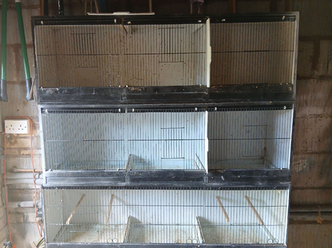 3 x triple breeders for sale