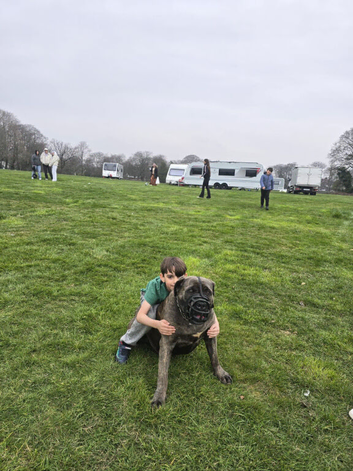 Presa Canario
