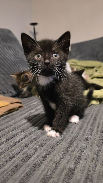 Ready to leave - Black and white male