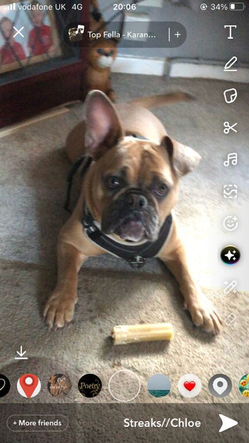 Dolly