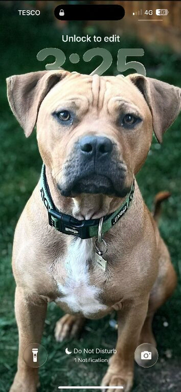 Rehome