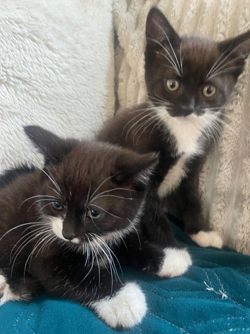 Two little sister