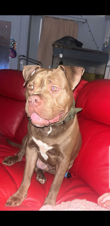Diesel