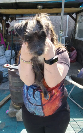 Need to rehome