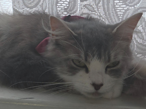 Mia/Bruce