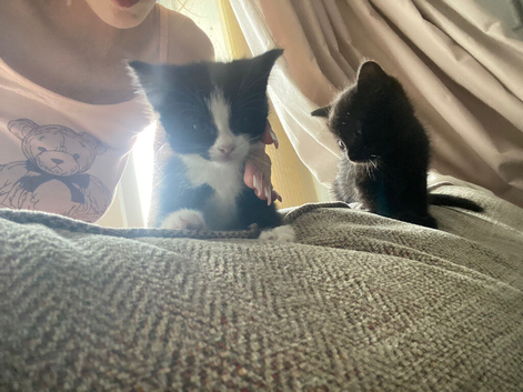 Mom &babies