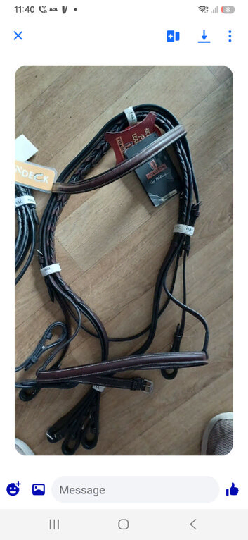 Job lots of equestrian wanted
