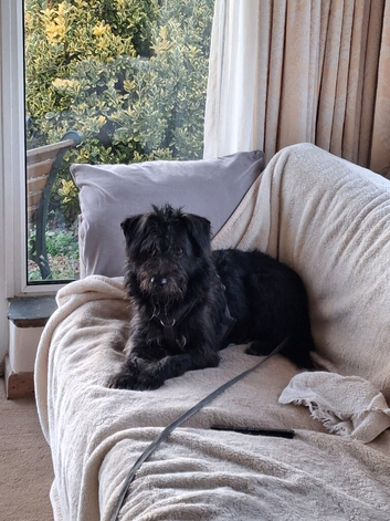 Super scruffy Tim
