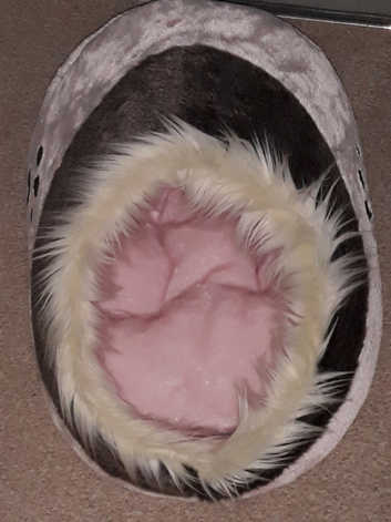 Kitten or puppy bed