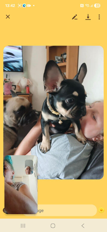 Loving homes