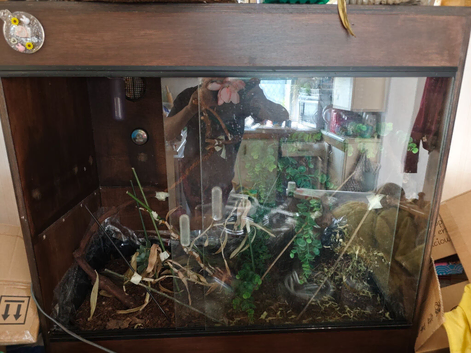 Reptile large enclosure
