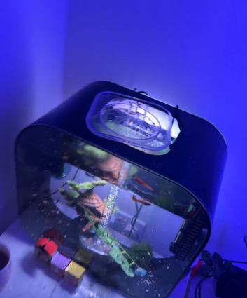 Fish tank for sale