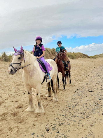 Dun and white mare 14.2 5yo