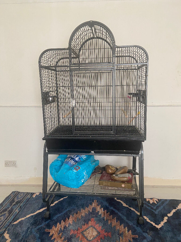 Large Bird cage (HALSTEAD)