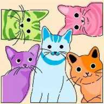 'The Purrfect Inn' Cat Boarding